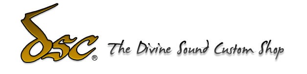 Divine Sound Custom Shop